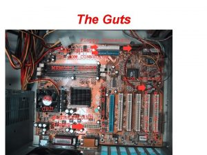 The Guts CPU CPU Socket The CPU is