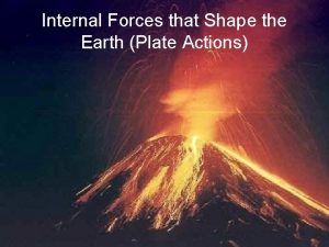 Internal Forces that Shape the Earth Plate Actions