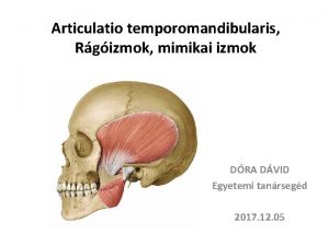 Articulatio temporomandibularis Rgizmok mimikai izmok DRA DVID Egyetemi