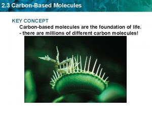 2 3 CarbonBased Molecules KEY CONCEPT Carbonbased molecules