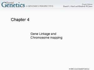 Chapter 4 Gene Linkage and Chromosome mapping 2006