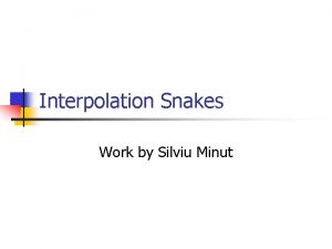 Interpolation Snakes Work by Silviu Minut Ultrasound image