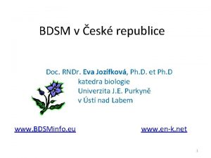 BDSM v esk republice Doc RNDr Eva Jozfkov