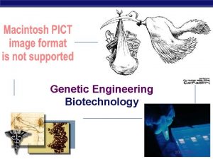 Genetic Engineering Biotechnology Regents Biology 2006 2007 We
