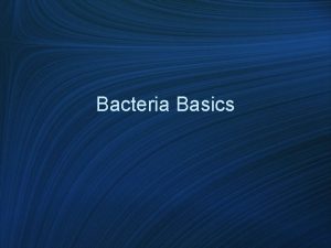 Bacteria Basics Bacteria Characteristics bacteria are prokaryotes they