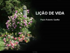LIO DE VIDA Paulo Roberto Gaefke Ria Slides