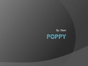 By Sean POPPY Plotline In Dimwood Forest Poppy