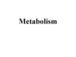 Metabolism Bioenergetics It is the study of the