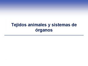 Tejidos animales y sistemas de rganos Homeostasis en