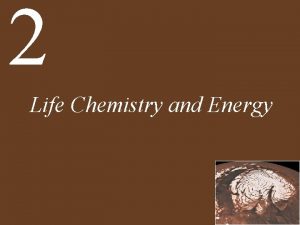 2 Life Chemistry and Energy Chapter 2 Life