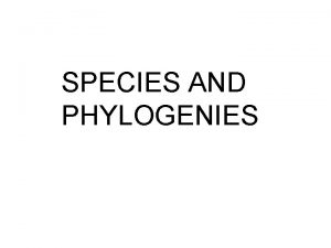 SPECIES AND PHYLOGENIES Modern Evolutionary Biology I Population