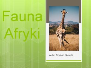 Fauna Afryki Autor Szymon Kijewski Henryk Sieniewicz Henryk