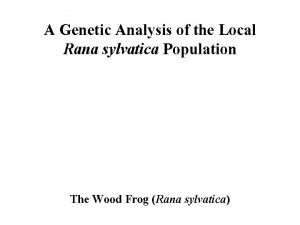 A Genetic Analysis of the Local Rana sylvatica