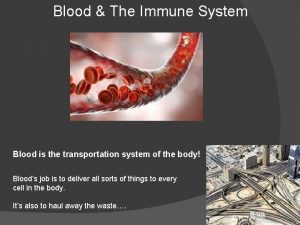 Blood The Immune System Blood is the transportation
