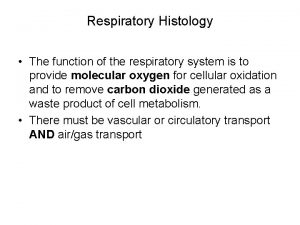 Respiratory Histology The function of the respiratory system