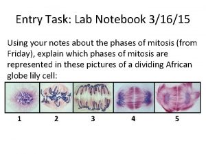 Entry Task Lab Notebook 31615 Using your notes