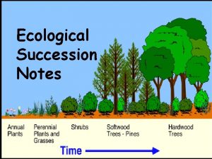 Ecological Succession Notes The environment is constantly changing