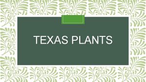 TEXAS PLANTS Trees Post Oak Extremely common found