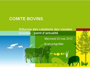 COMITE BOVINS Rforme des cotations des viandes bovines