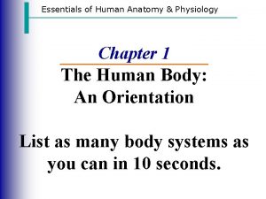 Essentials of Human Anatomy Physiology Chapter 1 The