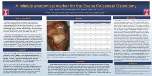 A reliable anatomical marker for the Evans Calcaneal