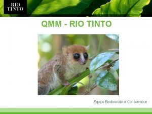 QMM RIO TINTO Equipe Biodiversit et Conservation Localisation