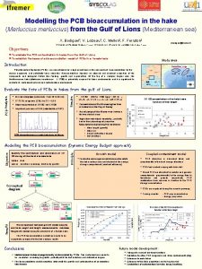 Modelling the PCB bioaccumulation in the hake Merluccius