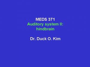 MEDS 371 Auditory system II hindbrain Dr Duck