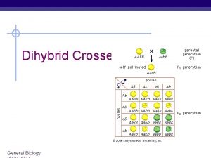 Dihybrid Crosses General Biology Monohybrid cross Some of