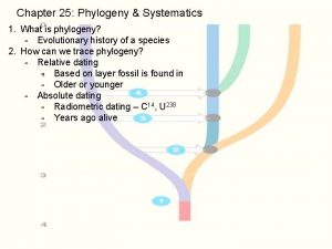 Chapter 25 Phylogeny Systematics 1 What is phylogeny