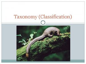 Taxonomy Classification Carolus Linnaeus developed the scientific naming