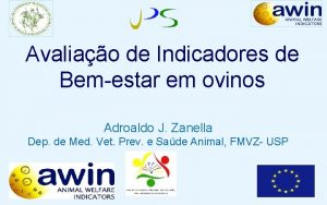 Avaliao de Indicadores de Bemestar em ovinos Adroaldo