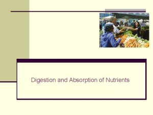 Digestion and Absorption of Nutrients Dietary Categories of