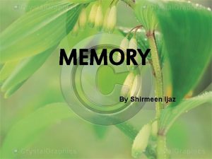 MEMORY By Shirmeen Ijaz What is memory According