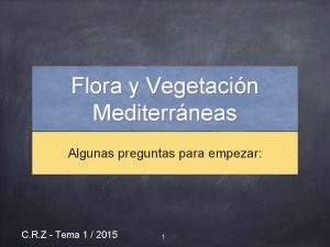 Flora y Vegetacin Mediterrneas Algunas preguntas para empezar