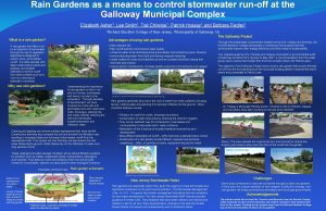Rain Gardens as a means to control stormwater