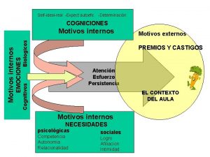 Selfidealreal Expect autoefic Determinacin COGNICIONES Biologicos Motivos externos