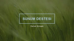 SUNUM DESTESI Demet imek Contosoda i yeri yeniliklerini