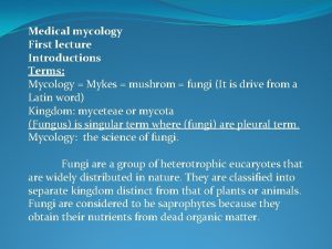 Medical mycology First lecture Introductions Terms Mycology Mykes