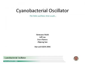Cyanobacterial Oscillator The little oscillator that could Hetmann