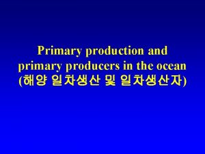 Primary production and primary producers in the ocean