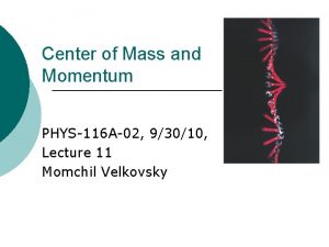 Center of Mass and Momentum PHYS116 A02 93010