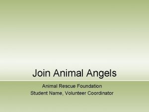 Join Animal Angels Animal Rescue Foundation Student Name