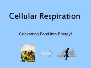 Cellular Respiration Converting Food into Energy Cellular Respiration