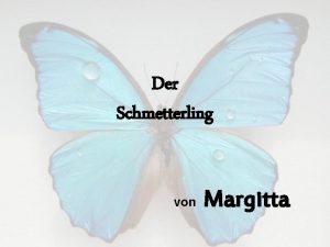 Der Schmetterling von Margitta Ein Mann fand den