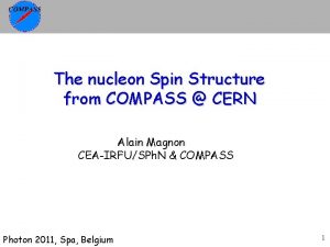 The nucleon Spin Structure from COMPASS CERN Alain