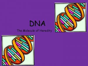 DNA The Molecule of Heredity Heredity Heredity passing