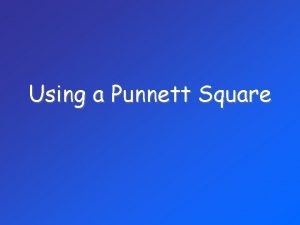 Using a Punnett Square What is a PUNNETT