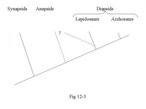 Synapsids Anapsids Diapsids Lepidosaurs Fig 12 3 Archosaurs