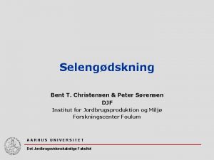 Selengdskning Bent T Christensen Peter Srensen DJF Institut